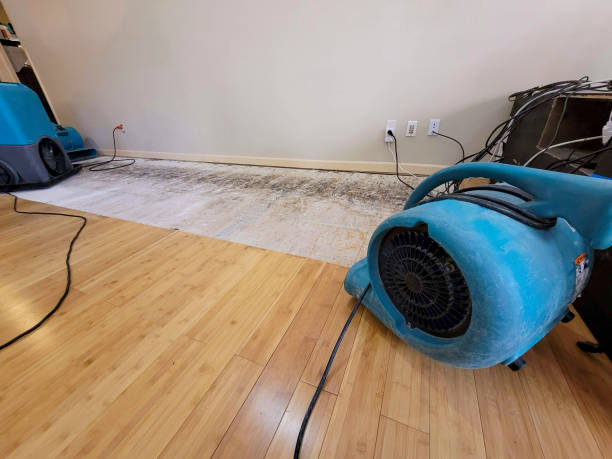 Professional Structural Drying technician working in Agua Dulce, CA